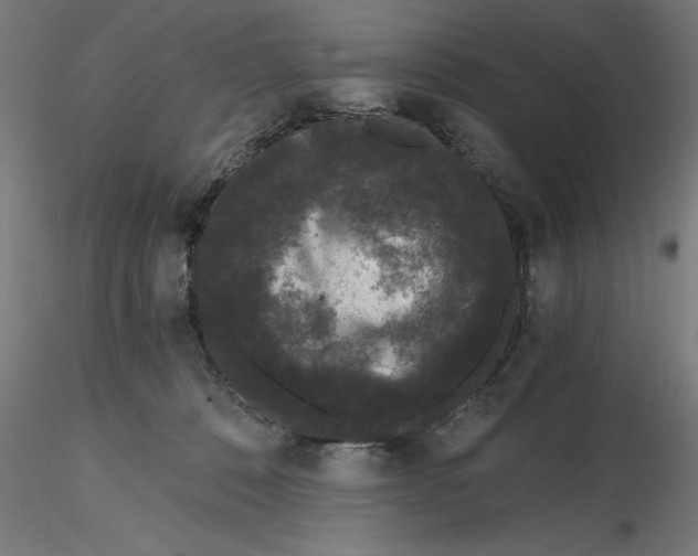 X0000116480320201001061125