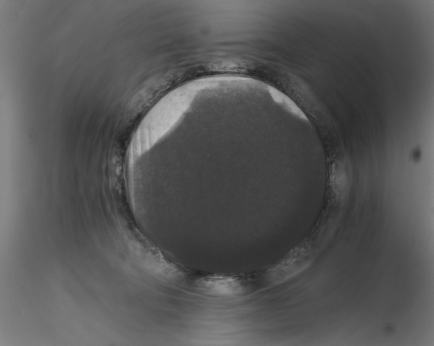 X0000116480322201001061125