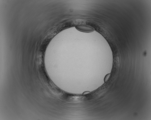 X0000116480323201001061125