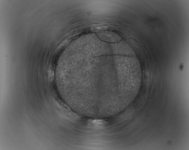 X0000116480324201001061125