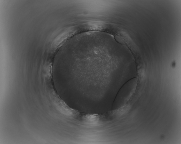 X0000116480325201001061125