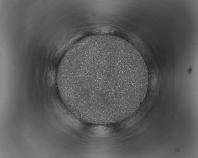 X0000116480326201001061125