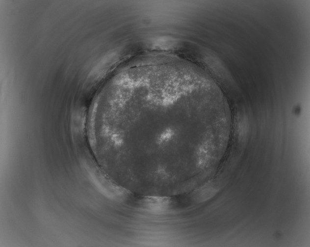 X0000116480328201001061125