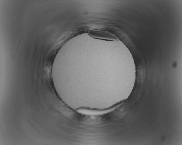 X0000116480329201001061125