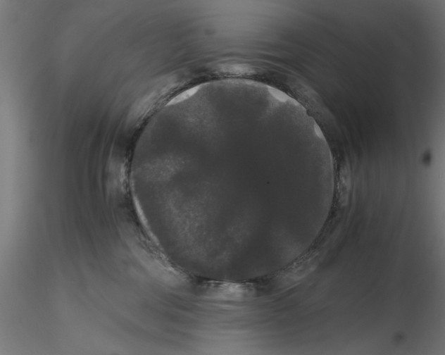 X0000116480330201001061125