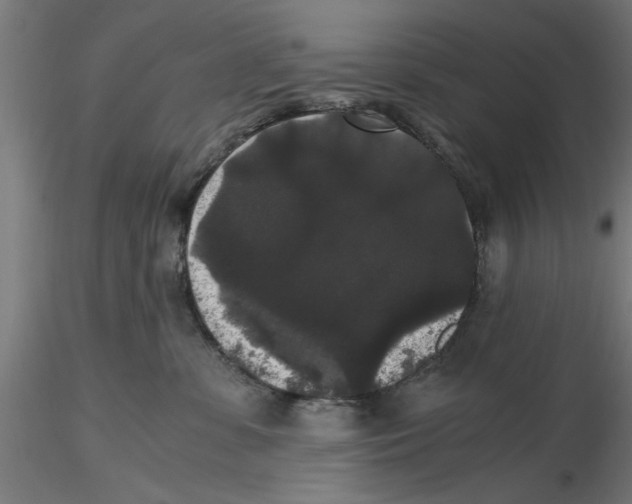 X0000116480331201001061125