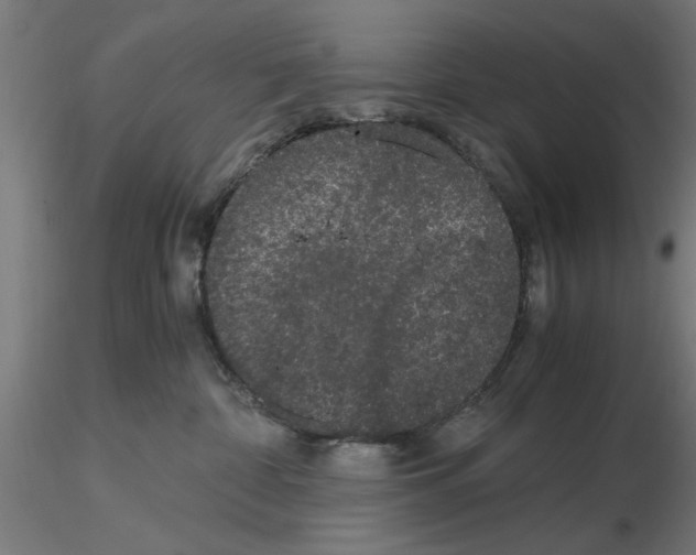 X0000116480332201001061125