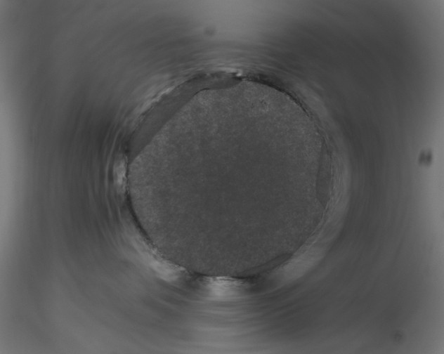 X0000116480336201001061125