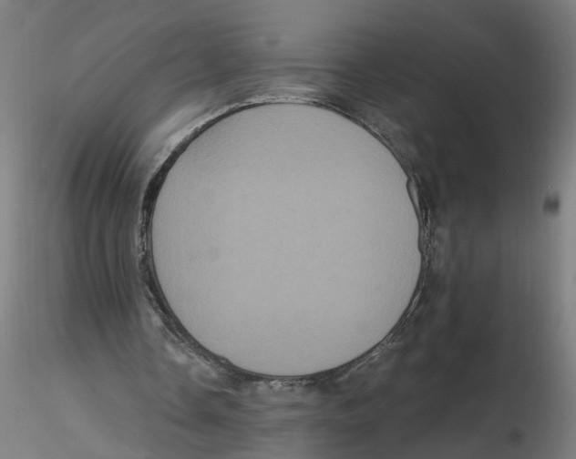 X0000116480338201001061124