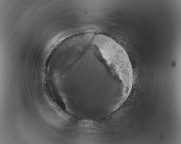 X0000116480339201001061124