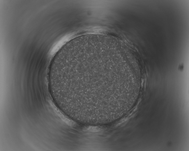 X0000116480341201001061124