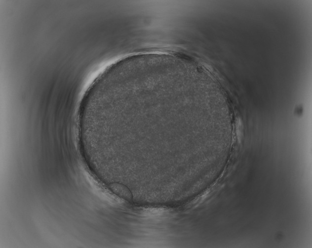 X0000116480342201001061124