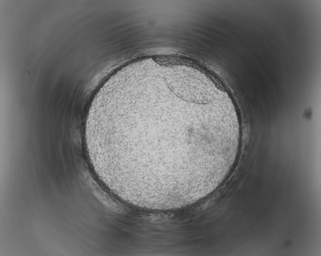 X0000116480345201001061125