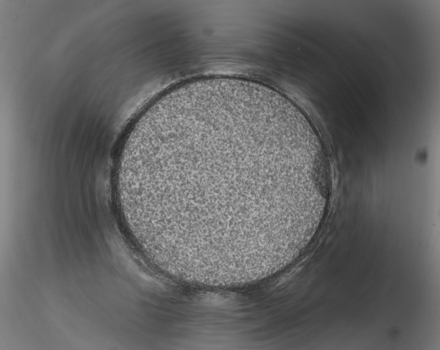 X0000116480346201001061125