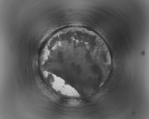 X0000116480347201001061125