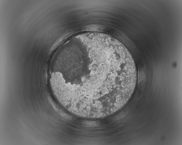 X0000116480349201001061125