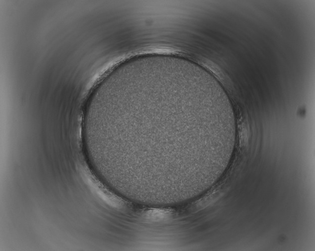 X0000116480350201001061125