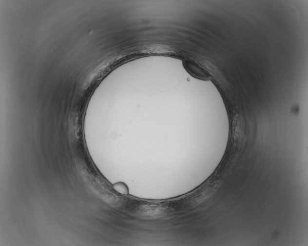 X0000116480351201001061125