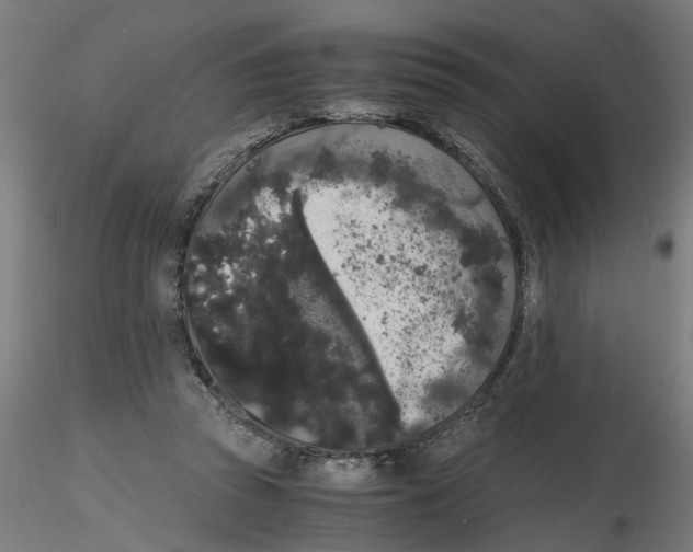 X0000116480353201001061125