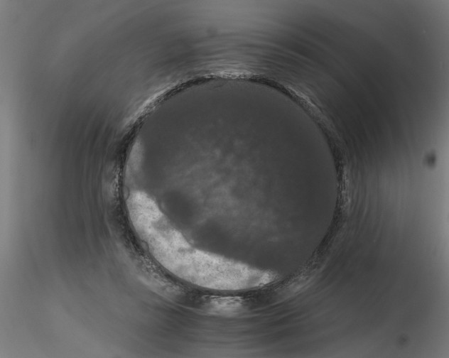 X0000116480355201001061125