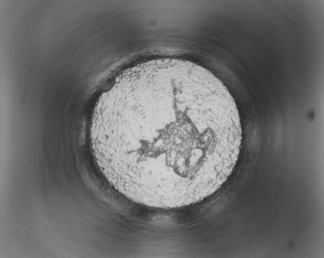 X0000116480358201001061125