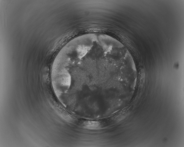 X0000116480361201001061125