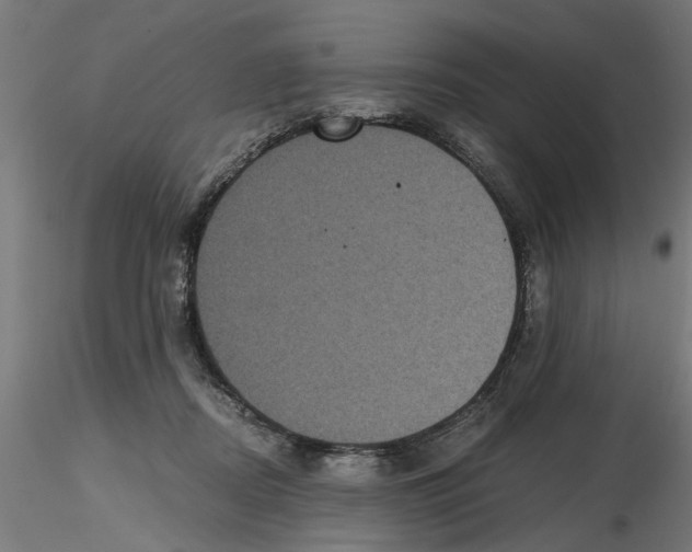 X0000116480362201001061125