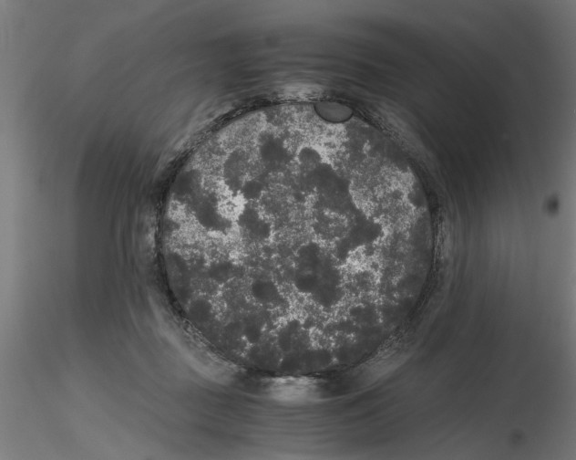 X0000116480363201001061125