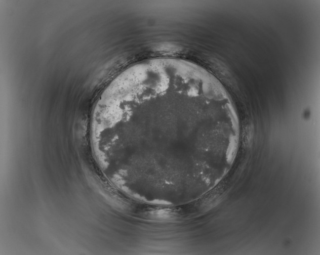 X0000116480365201001061125