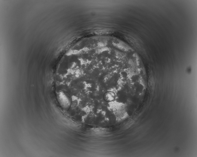 X0000116480367201001061125