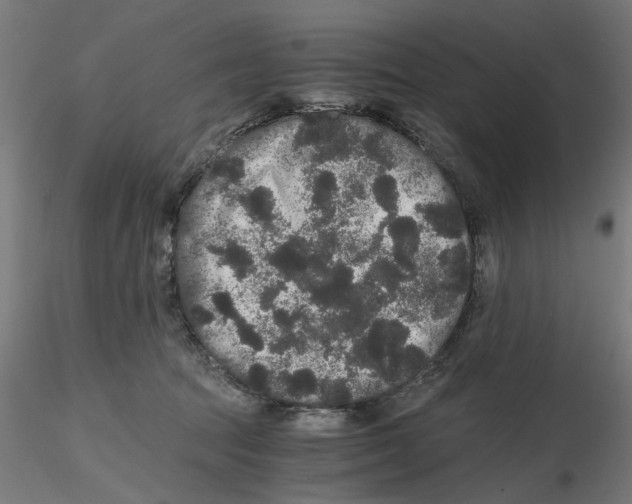 X0000116480369201001061125