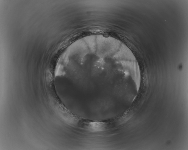 X0000116480371201001061125