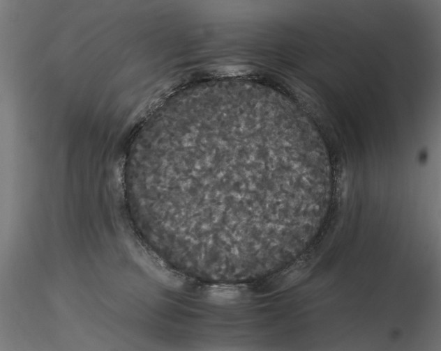 X0000116480373201001061125