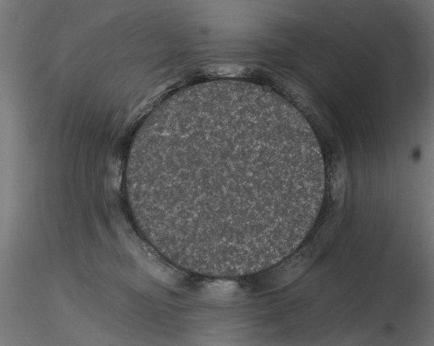 X0000116480374201001061125