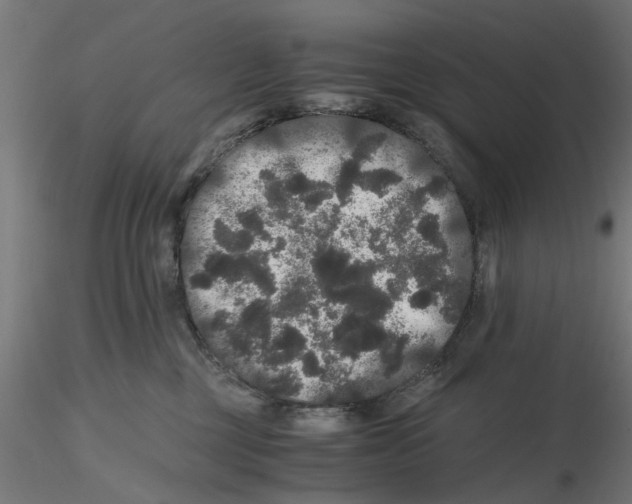 X0000116480377201001061125