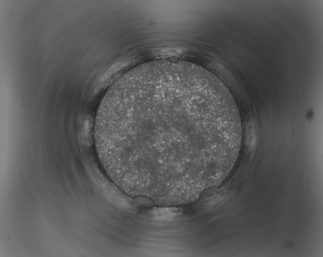 X0000116480378201001061125