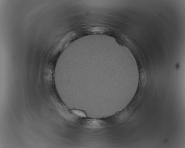 X0000116480379201001061125