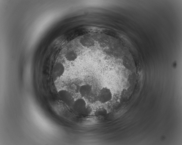 X0000116480381201001061125