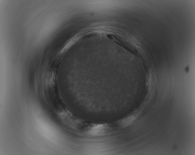 X0000116480382201001061125