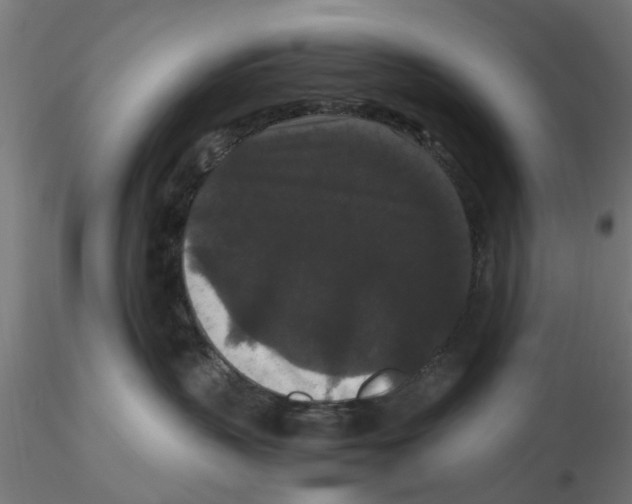 X0000116480383201001061125