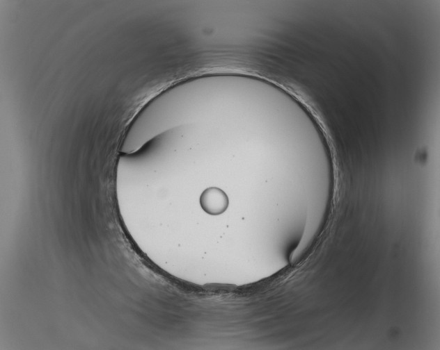 X0000116480385201001061124