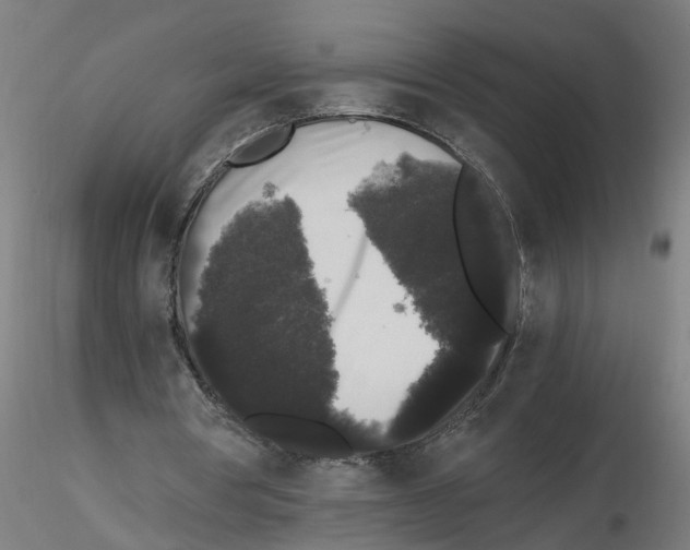 X0000116480386201001061124