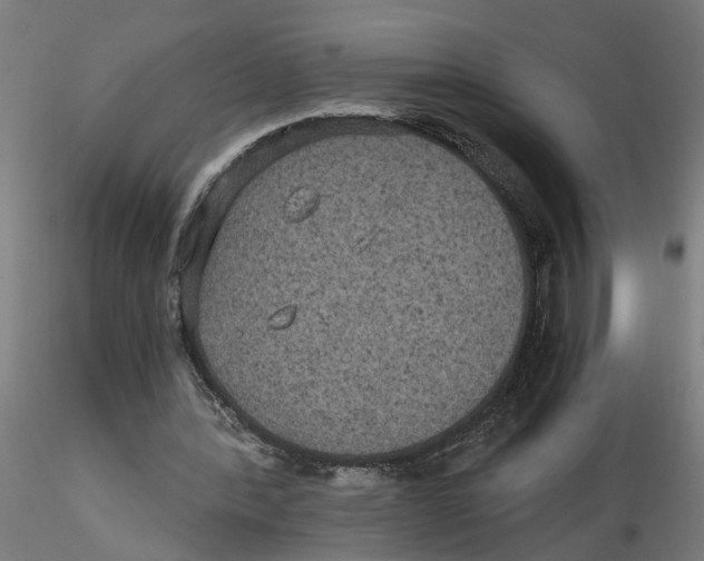 X0000116480388201001061124