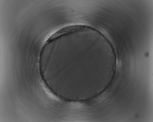 X0000116480389201001061124