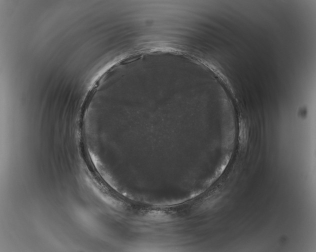 X0000116480390201001061124