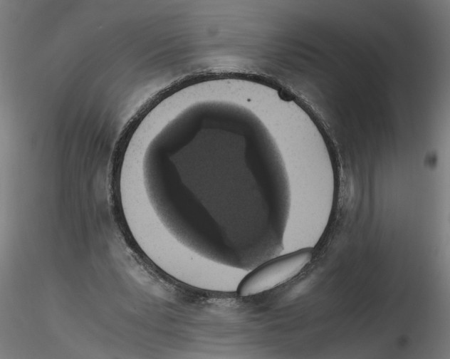 X0000116480391201001061124