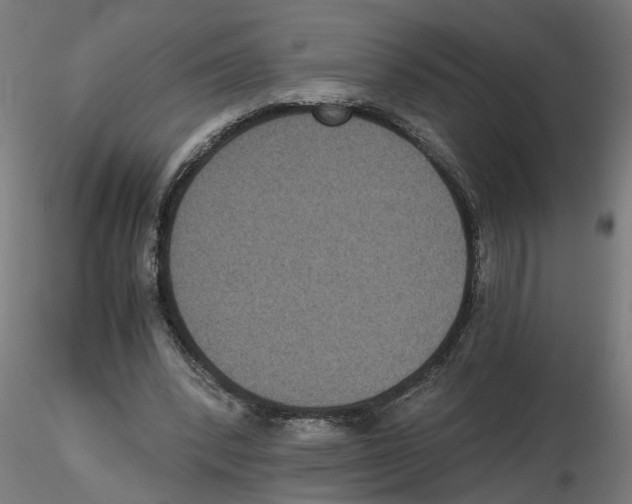 X0000116480392201001061124