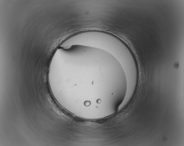 X0000116480393201001061124