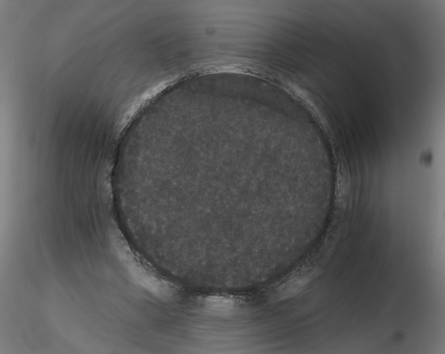 X0000116480394201001061124