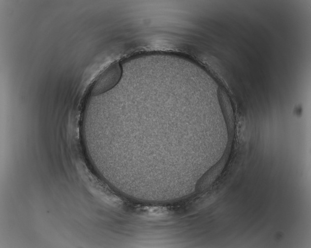 X0000116480395201001061124